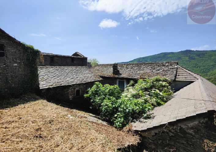 à vendre  Saint Martin De Lansuscle