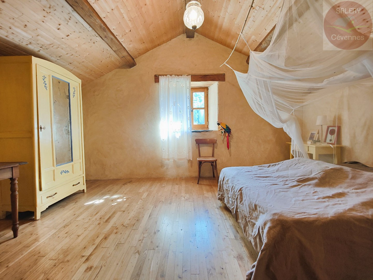 à vendre Ensemble immobilier Sainte Croix Vallee Francaise - Photo 3