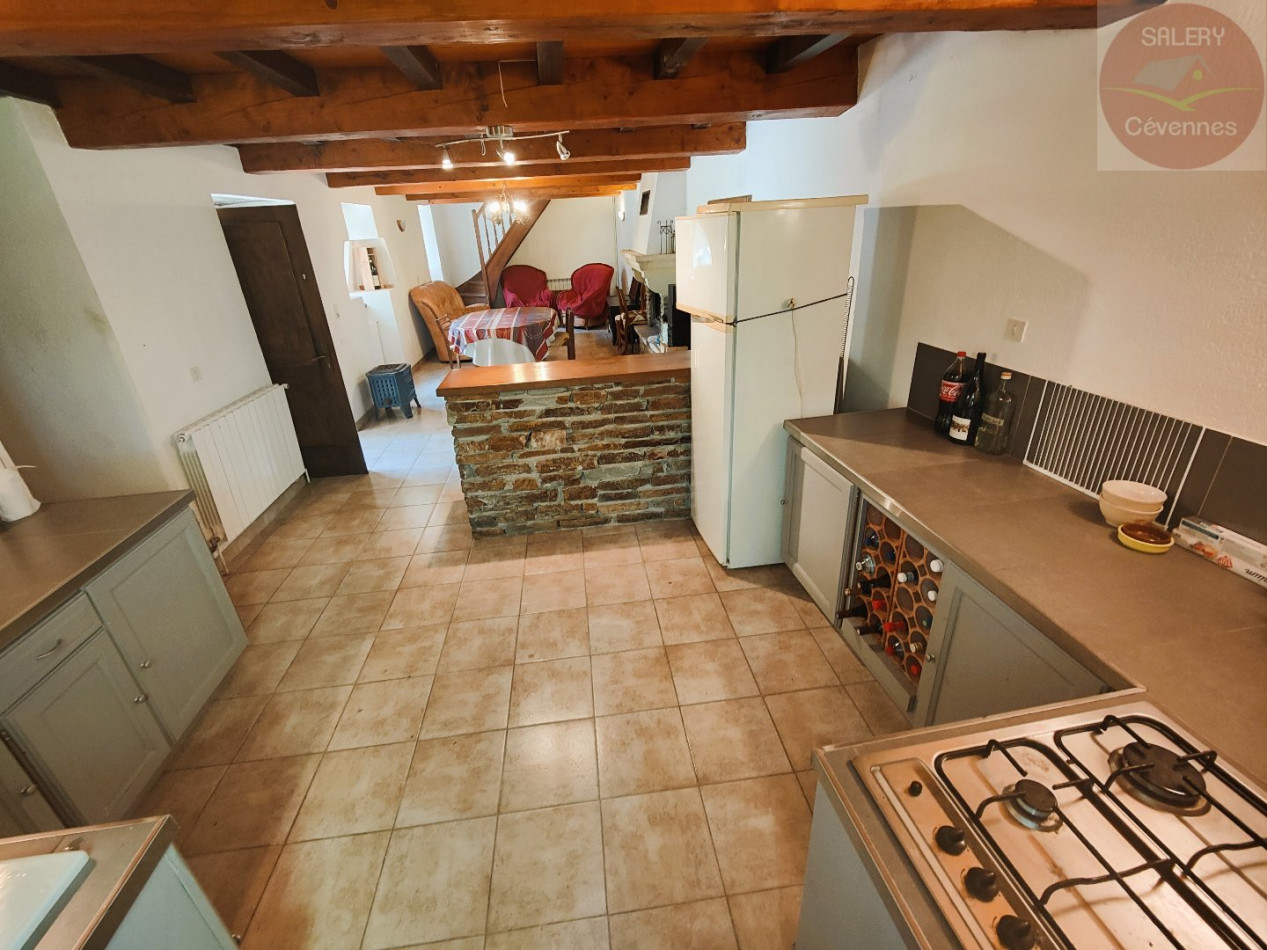 à vendre  Saint Andre De Valborgne - Photo 4