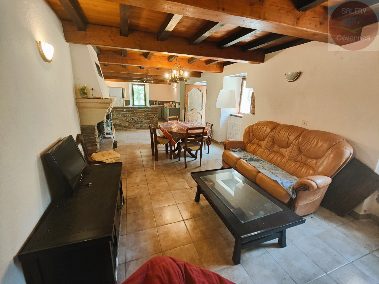 à vendre  Saint Andre De Valborgne - Photo 3