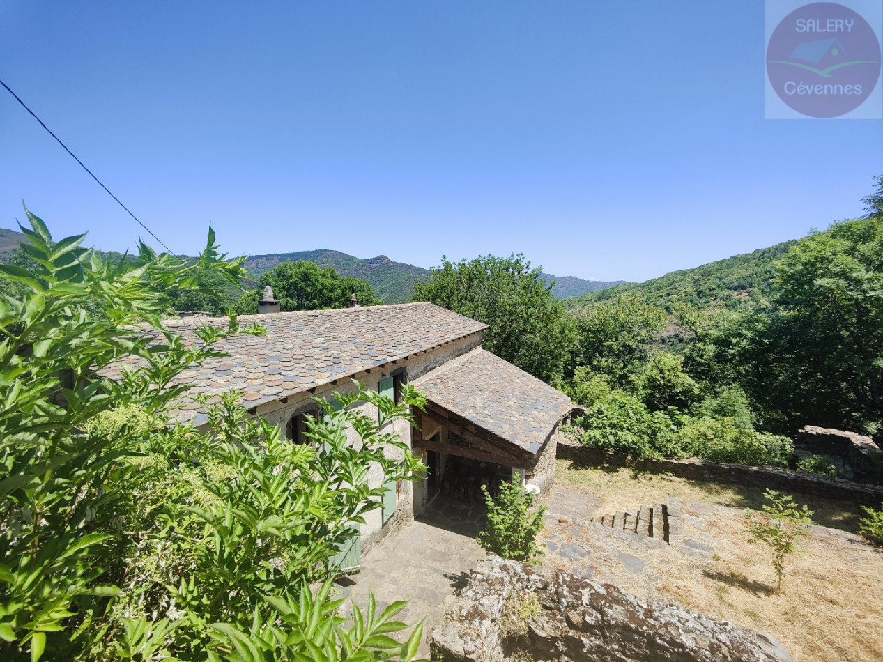 à vendre  Saint Andre De Valborgne - Photo 1