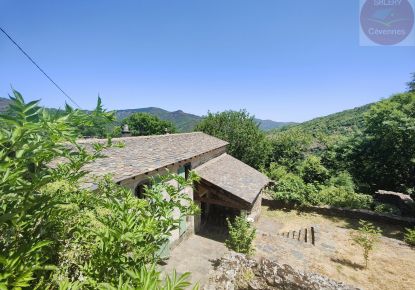 vente  Saint Andre De Valborgne