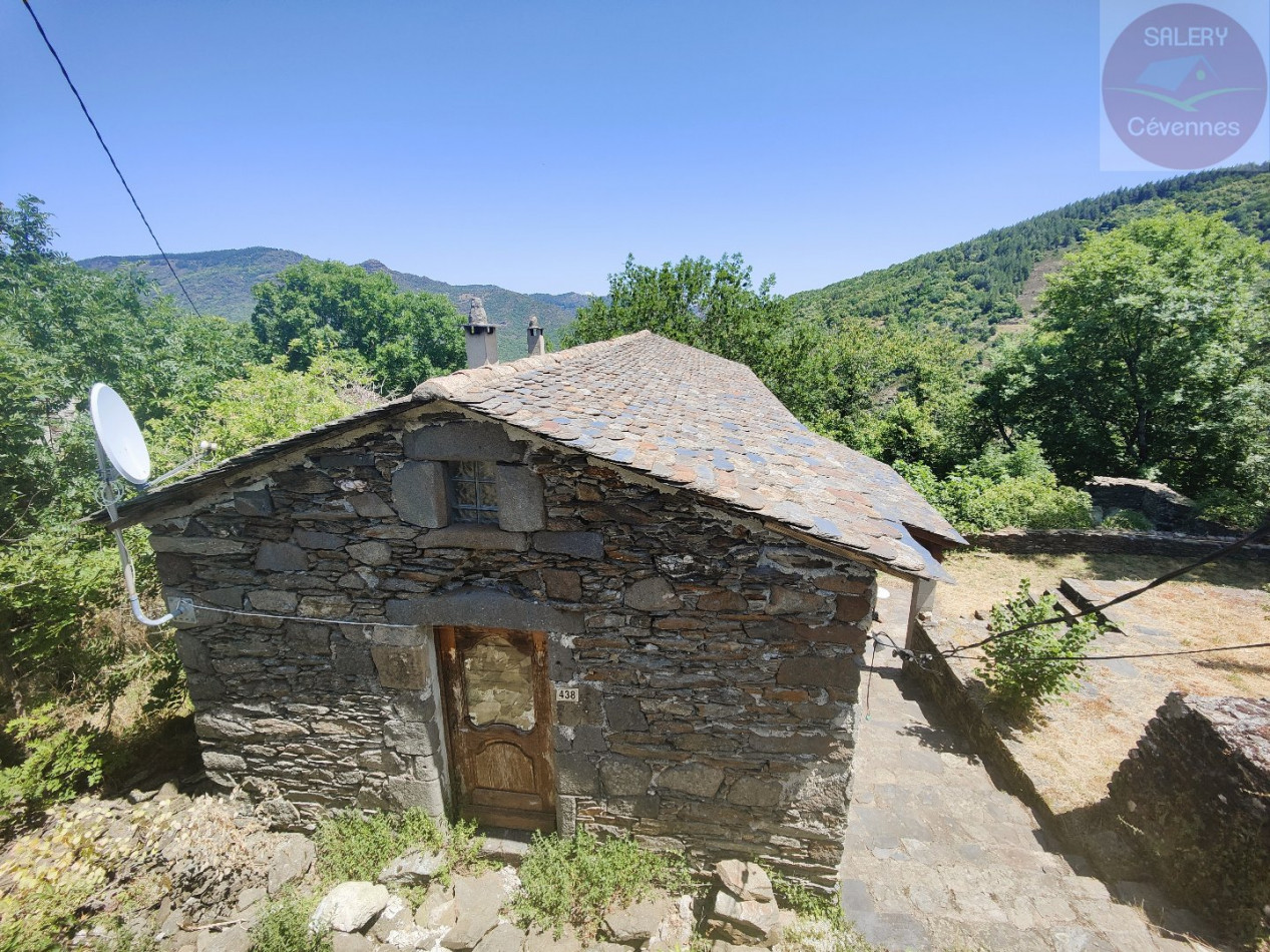 à vendre  Saint Andre De Valborgne - Photo 10