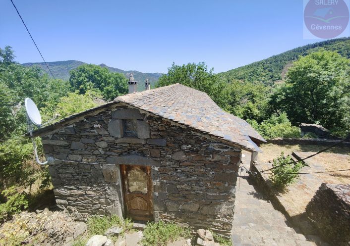 à vendre  Saint Andre De Valborgne