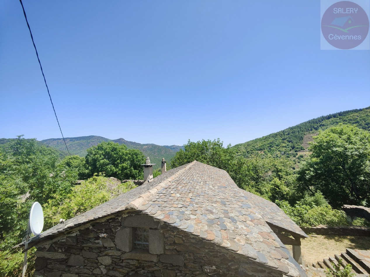 à vendre  Saint Andre De Valborgne - Photo 2