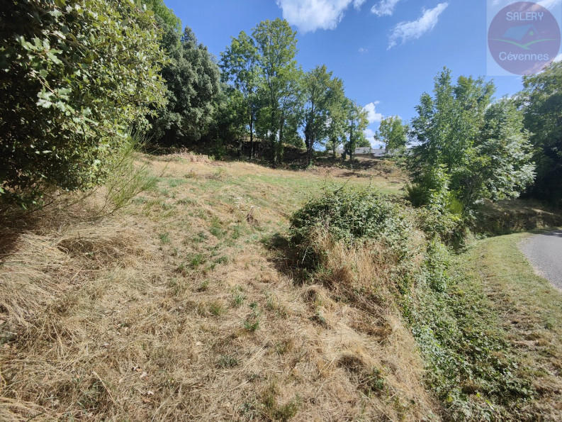 vente Terrain constructible Moissac Vallee Francaise - Photo 4