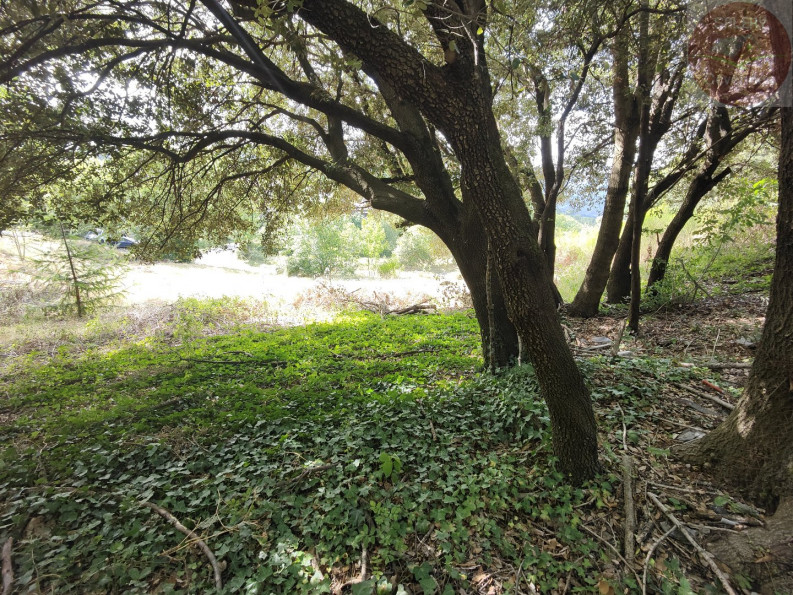 vente Terrain constructible Moissac Vallee Francaise - Photo 5