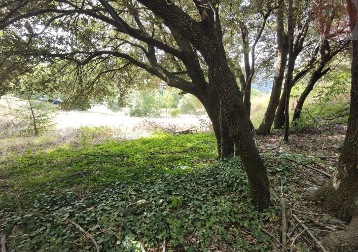 à vendre Terrain constructible Moissac Vallee Francaise