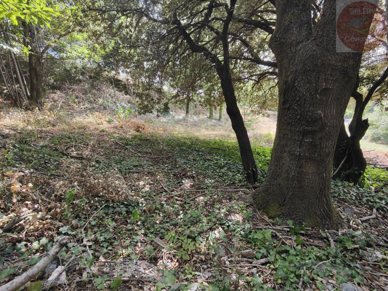 vente Terrain constructible Moissac Vallee Francaise - Photo 6