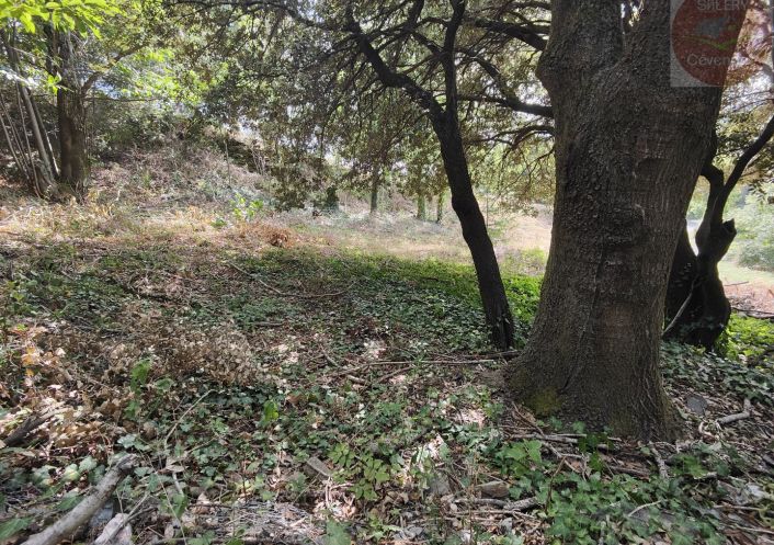 à vendre Terrain constructible Moissac Vallee Francaise