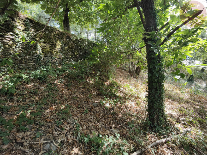 vente Terrain constructible Moissac Vallee Francaise - Photo 7