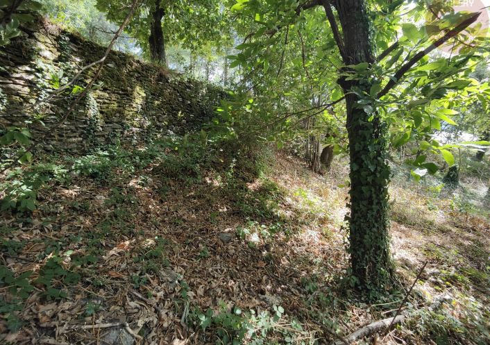 à vendre Terrain constructible Moissac Vallee Francaise