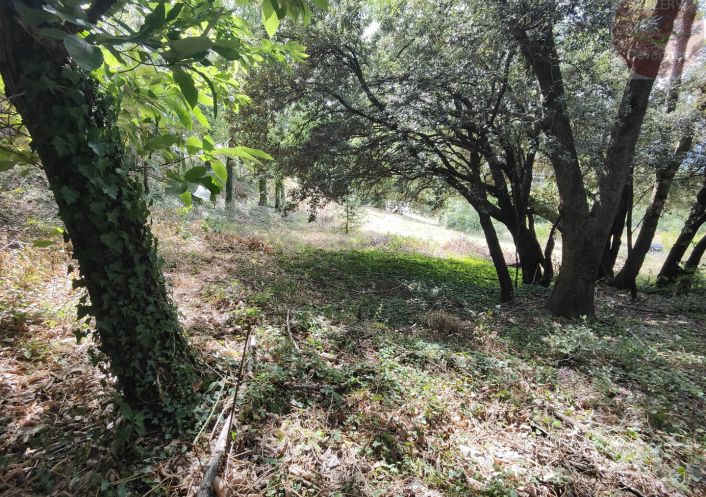 à vendre Terrain constructible Moissac Vallee Francaise