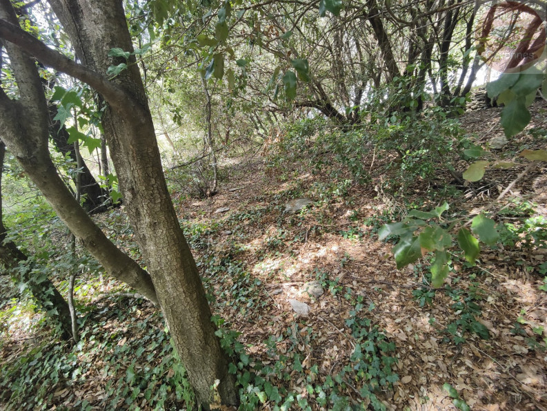 vente Terrain constructible Moissac Vallee Francaise - Photo 9