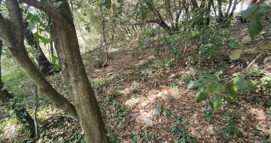 vente Terrain constructible Moissac Vallee Francaise