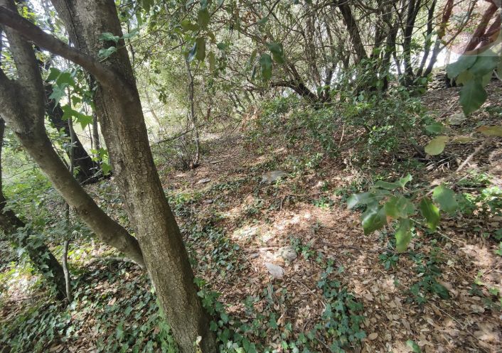 à vendre Terrain constructible Moissac Vallee Francaise