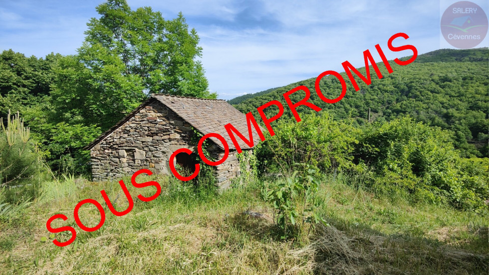 vente Propriété Le Pompidou - Photo 1