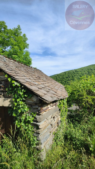 vente Propriété Le Pompidou - Photo 2