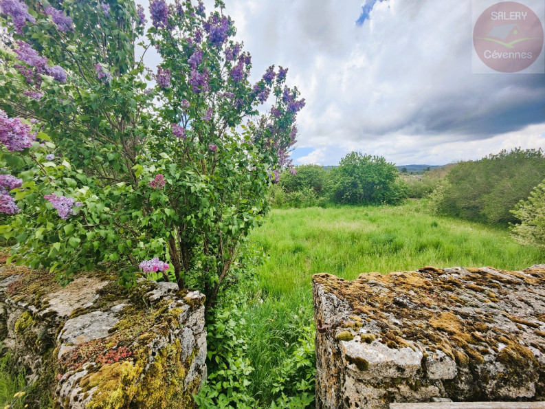 vente Maison à rénover Mas Saint Chely - Photo 8