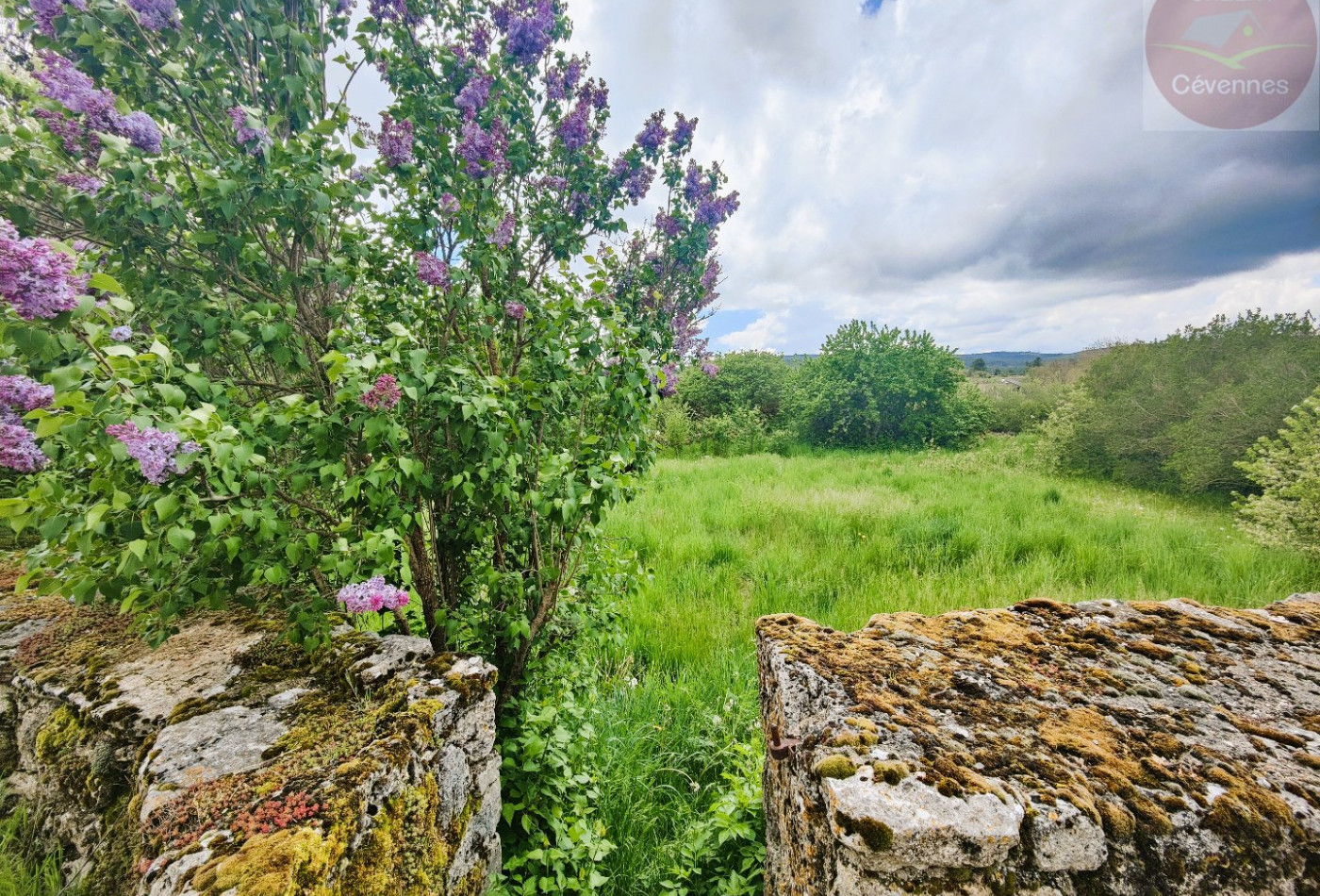 vente Maison à rénover Mas Saint Chely - Photo 8