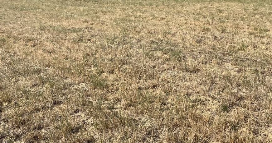 vente Terrain constructible Aigremont