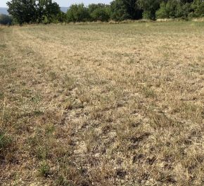 à vendre Aigremont
