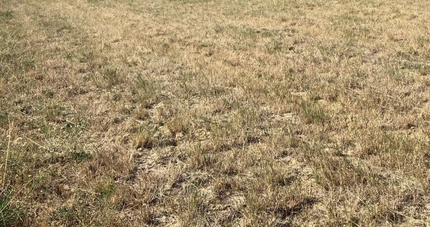 vente Terrain constructible Aigremont