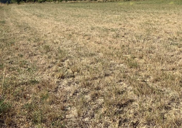 à vendre Terrain constructible Aigremont