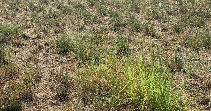 vente Terrain constructible Aigremont