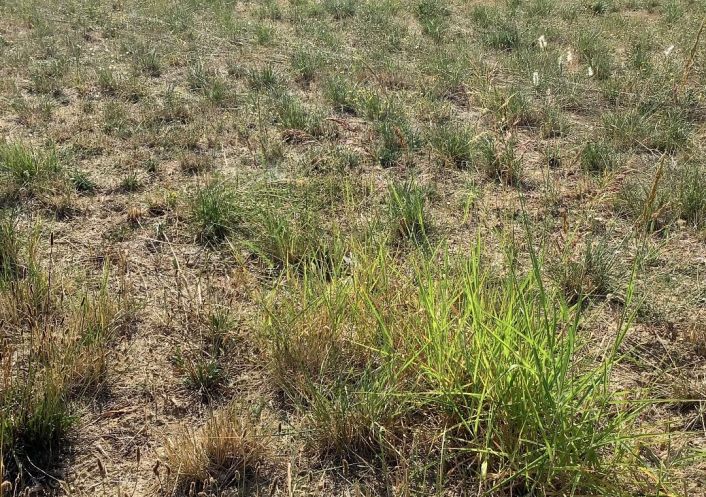 à vendre Terrain constructible Aigremont