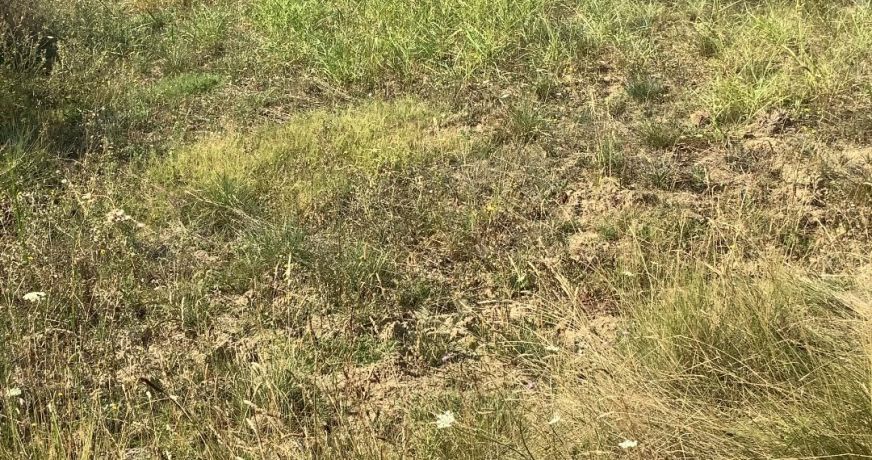 vente Terrain constructible Aigremont