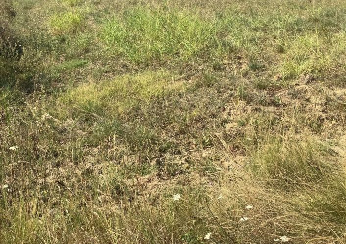 à vendre Terrain constructible Aigremont