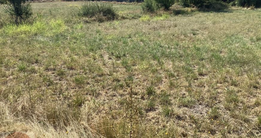 vente Terrain constructible Aigremont