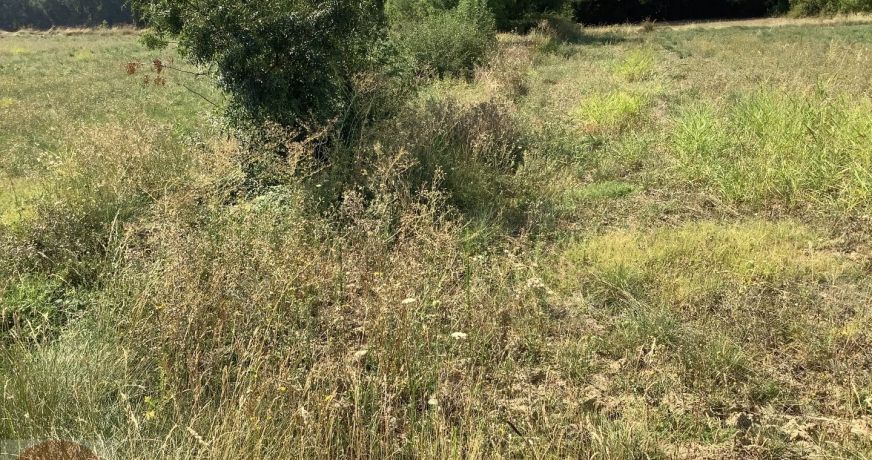 vente Terrain constructible Aigremont