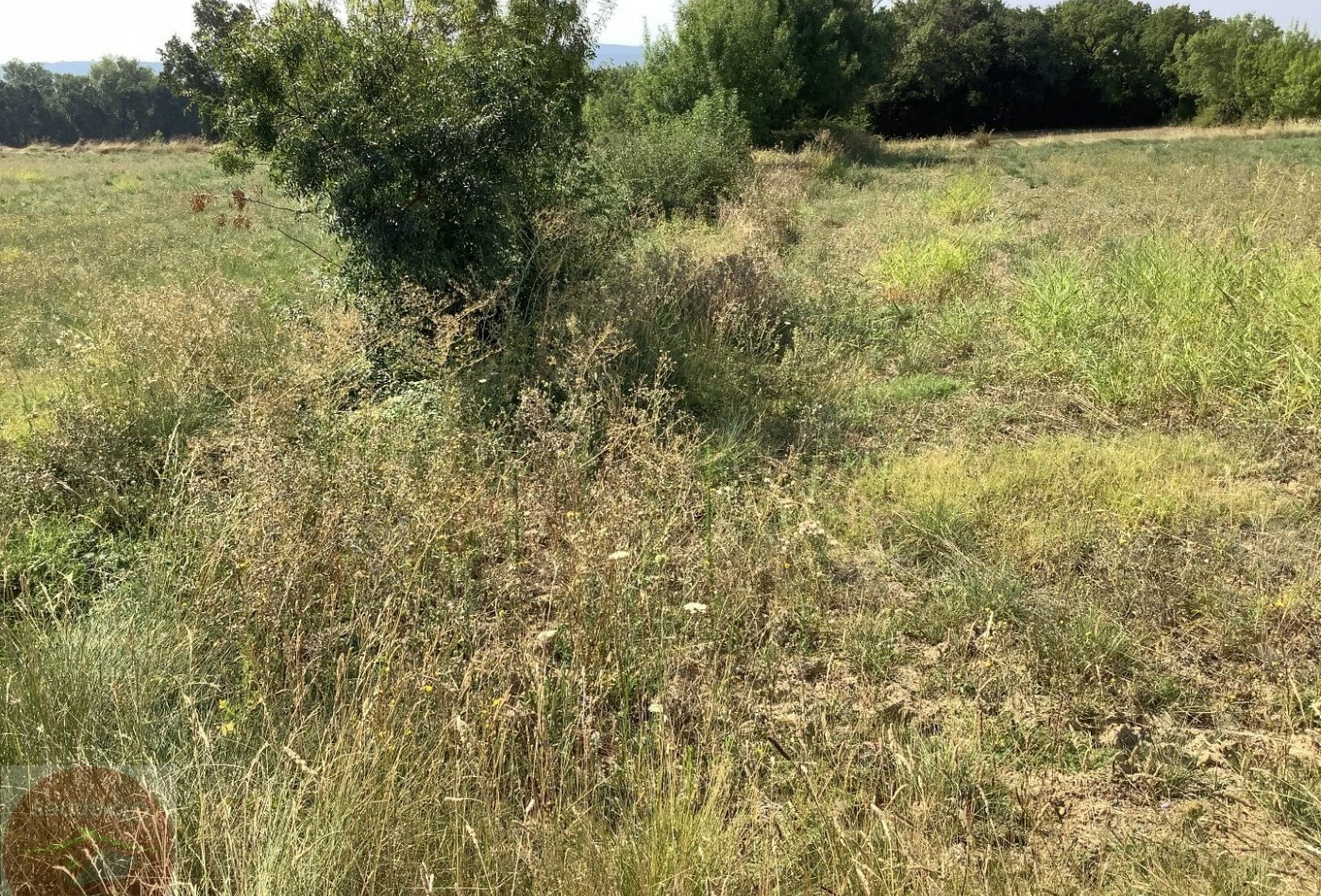 vente Terrain constructible Aigremont - Photo 3