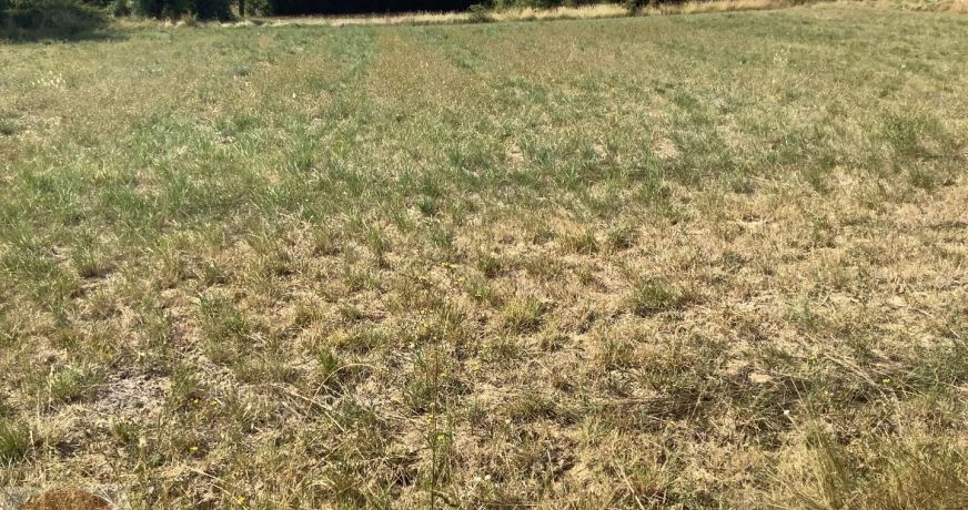 vente Terrain constructible Aigremont