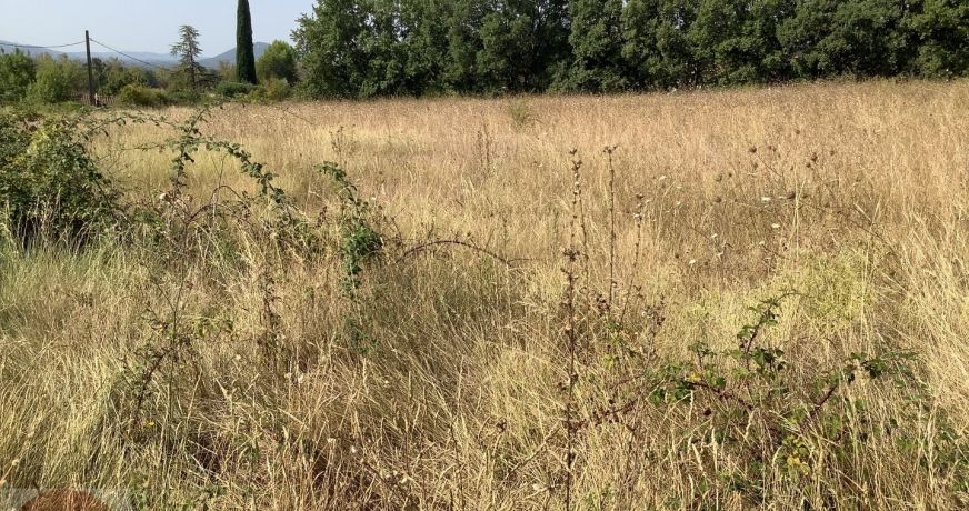 vente Terrain constructible Aigremont