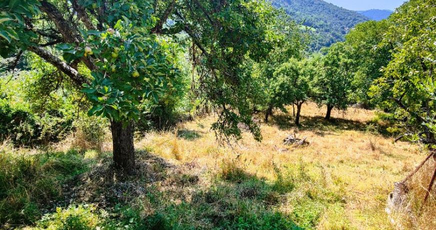 vente Maison à rénover La Salle Prunet