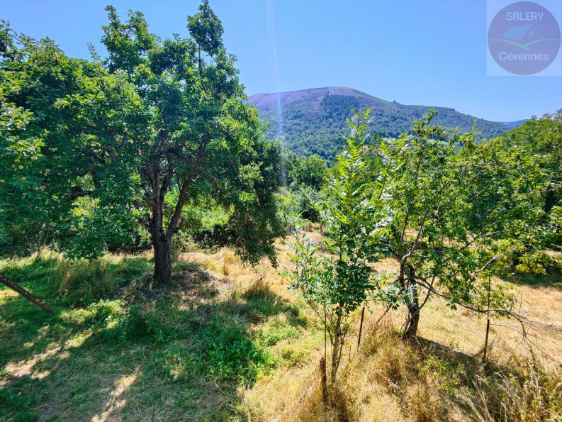 vente Maison à rénover La Salle Prunet - Photo 9