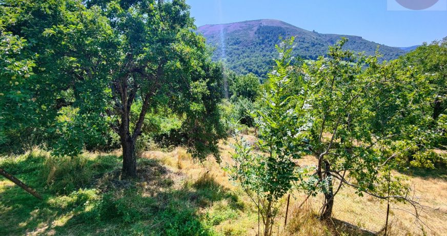 vente Maison à rénover La Salle Prunet