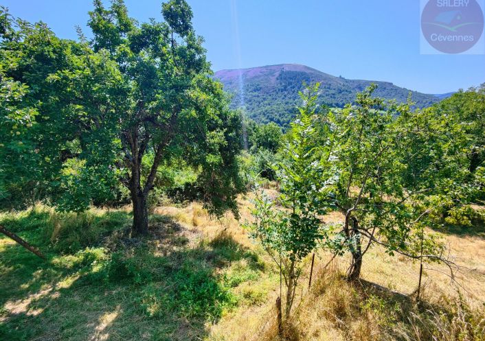 à vendre Maison à rénover La Salle Prunet