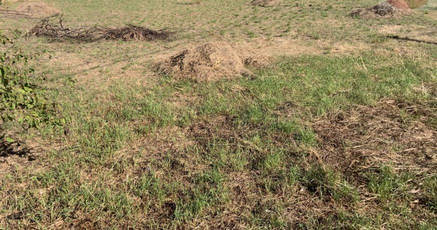 vente Terrain constructible Lezan