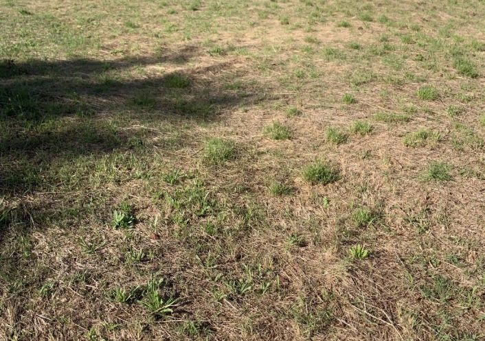 à vendre Terrain constructible Lezan