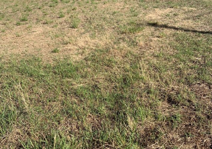 à vendre Terrain constructible Lezan