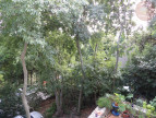 à vendre Maison Corconne