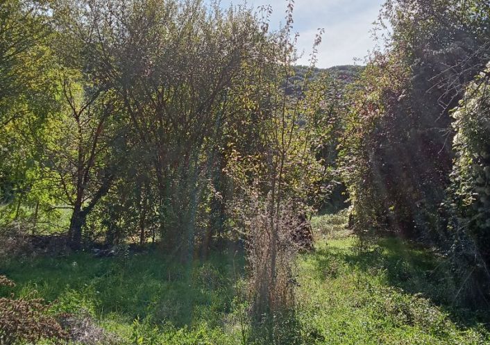 à vendre Maison Sauve