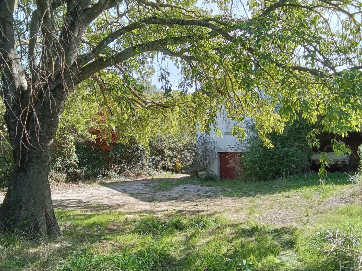 à vendre Maison Sauve - Photo 3