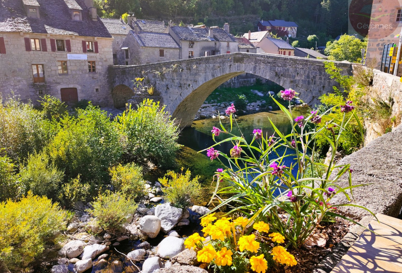 vente Maison de village Le Pont De Montvert - Photo 9