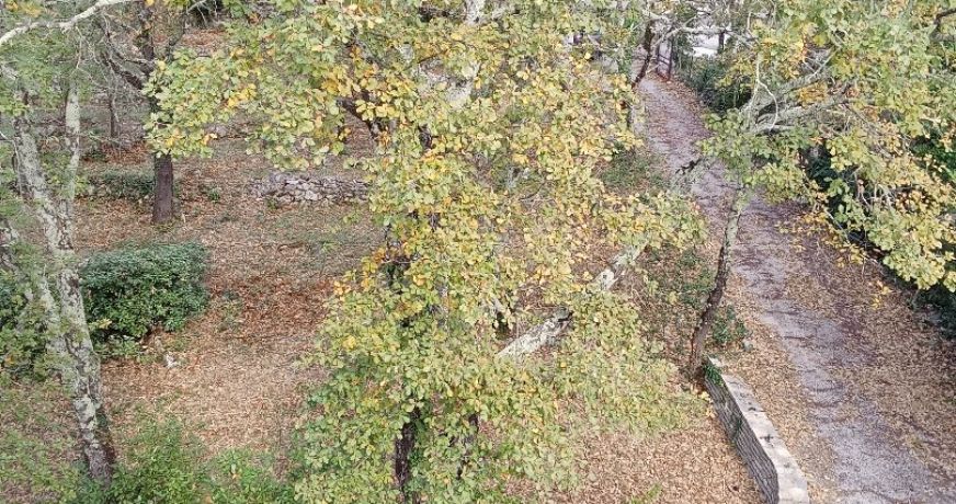 vente Maison contemporaine Saint Hippolyte Du Fort