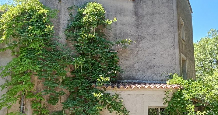 vente Maison contemporaine Saint Hippolyte Du Fort